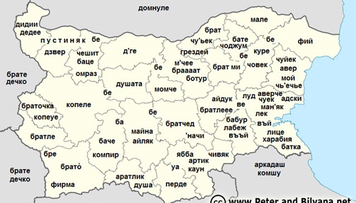 Българският жаргон