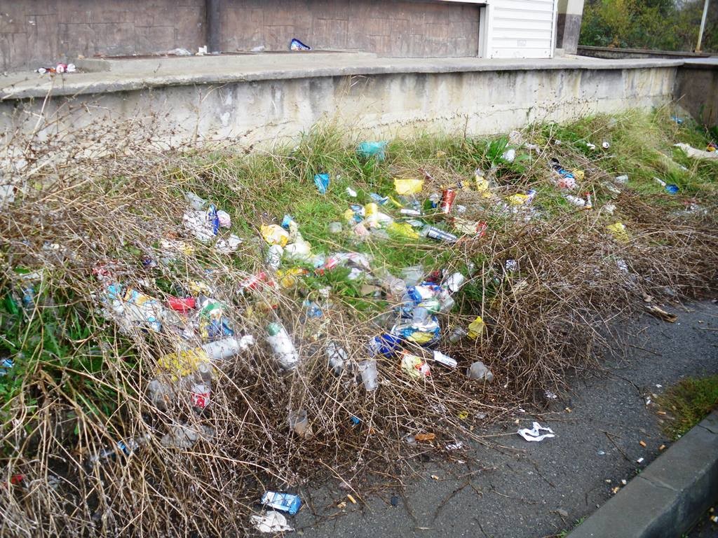 refugees crisis in sofia