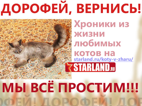 С теб сме, Доротей! С теб сме, Доротей!