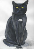 Черна котка