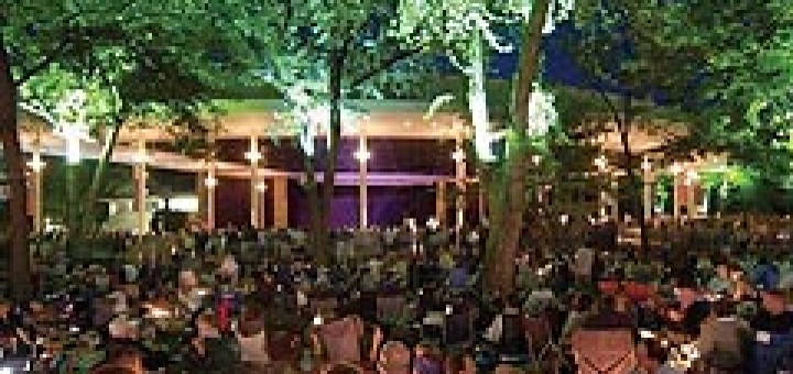 Равиня Фестивал Чикаго