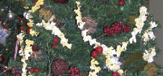 В началото на декември Общинският административен център на Мария Папас в Даун Таун – Чикаго отново се преобрази от красивата, празнична, „гора” – 90-те коледни елхи, които го украсиха.