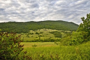 Причудливо петно се появи край Севлиево