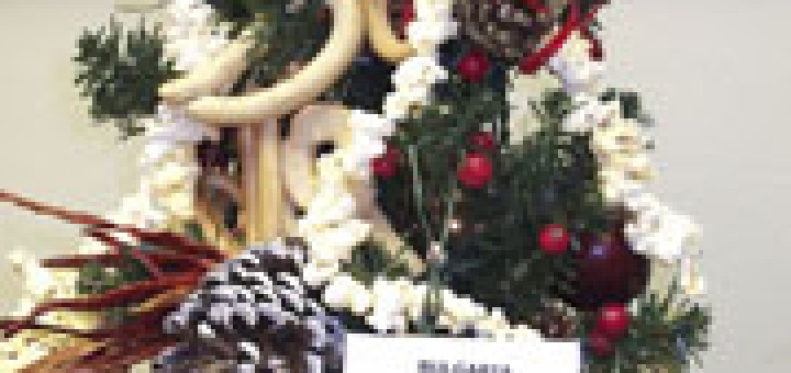 Българска коледна елха грейна в Чикаго