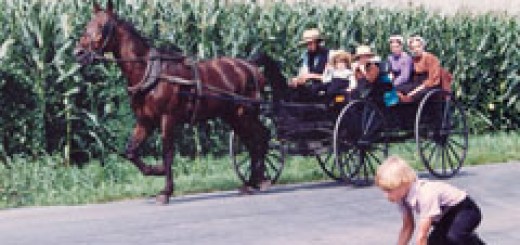 Amish