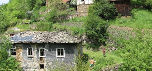 РОДОПСКА МАХАЛА НА БОГУТЕВО