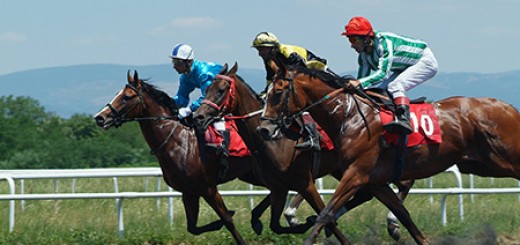 Тодоровден 2013