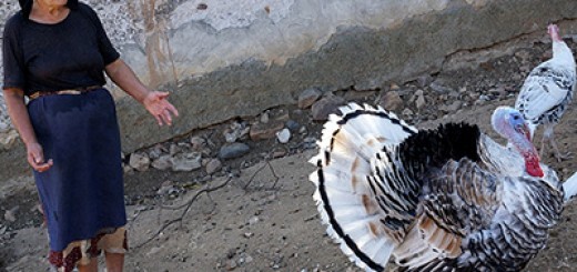 БАБА ТОДОРКА