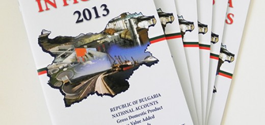 Bulgaria in figures 2013