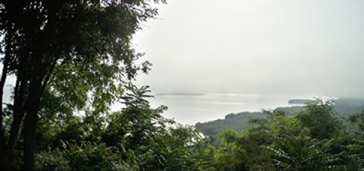 България - Сребърна