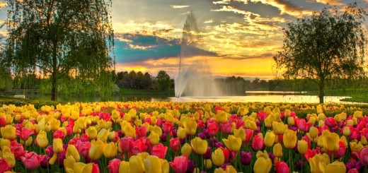 Chicago botanic garden