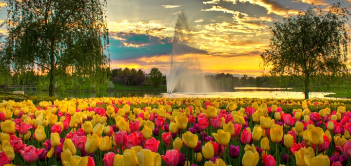 Chicago botanic garden